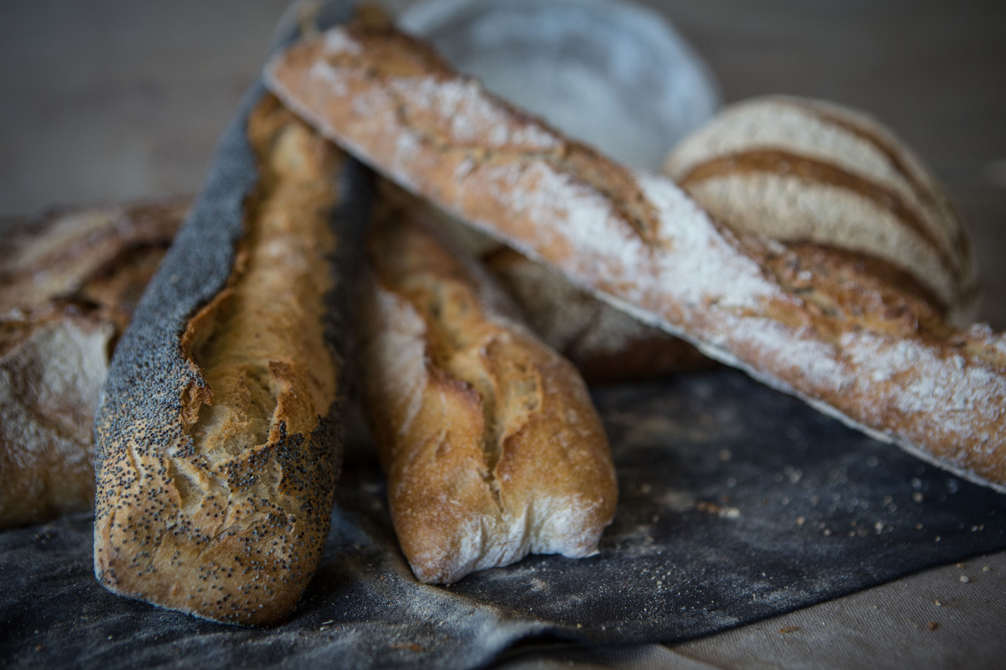 Le Fournil de Pierre launches a new range of breads - LE DUFF Group