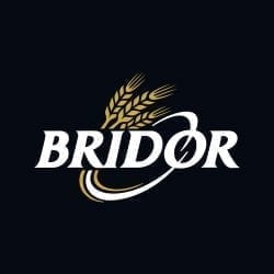 Logo Bridor PNG